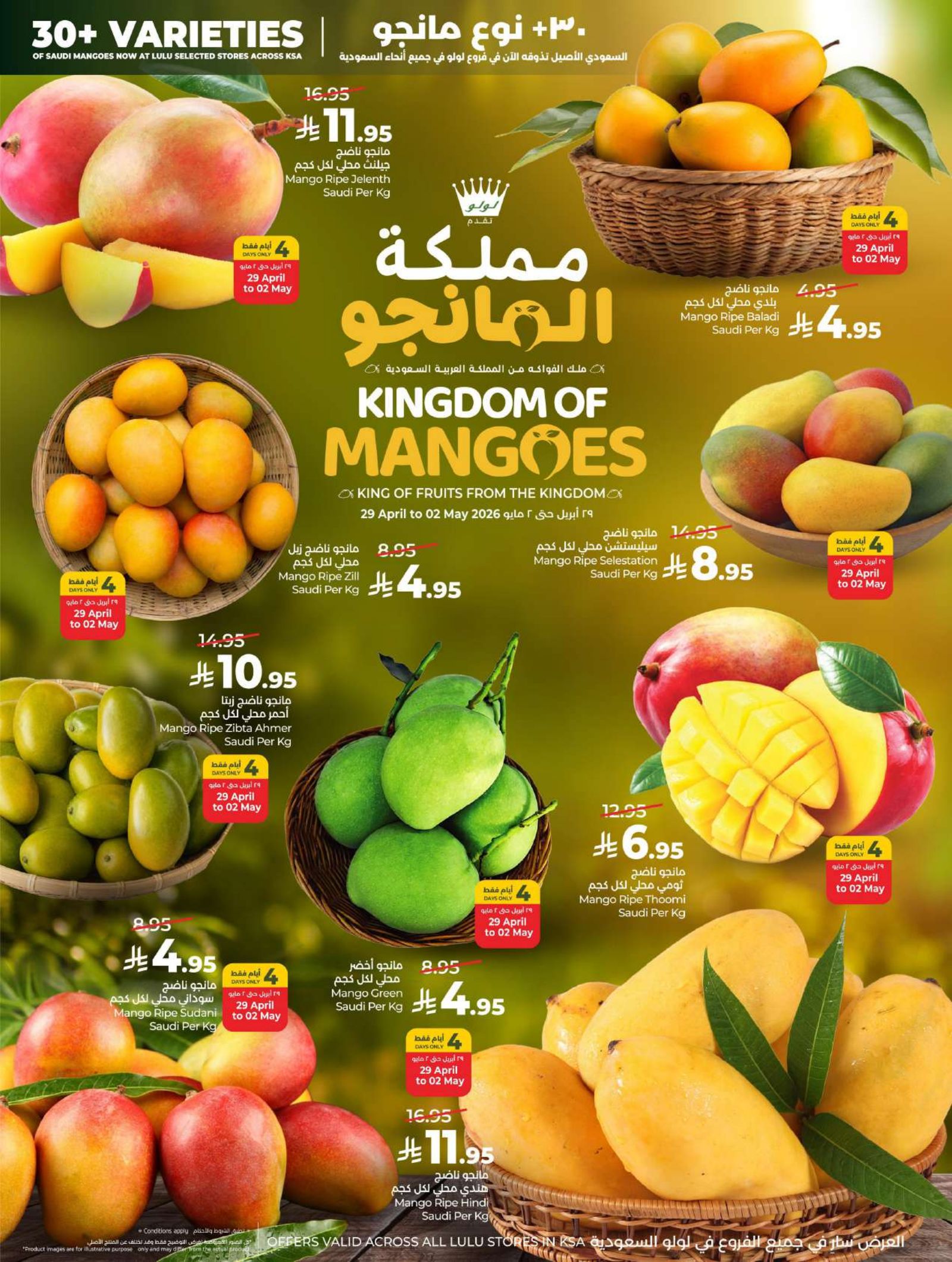 البقالة